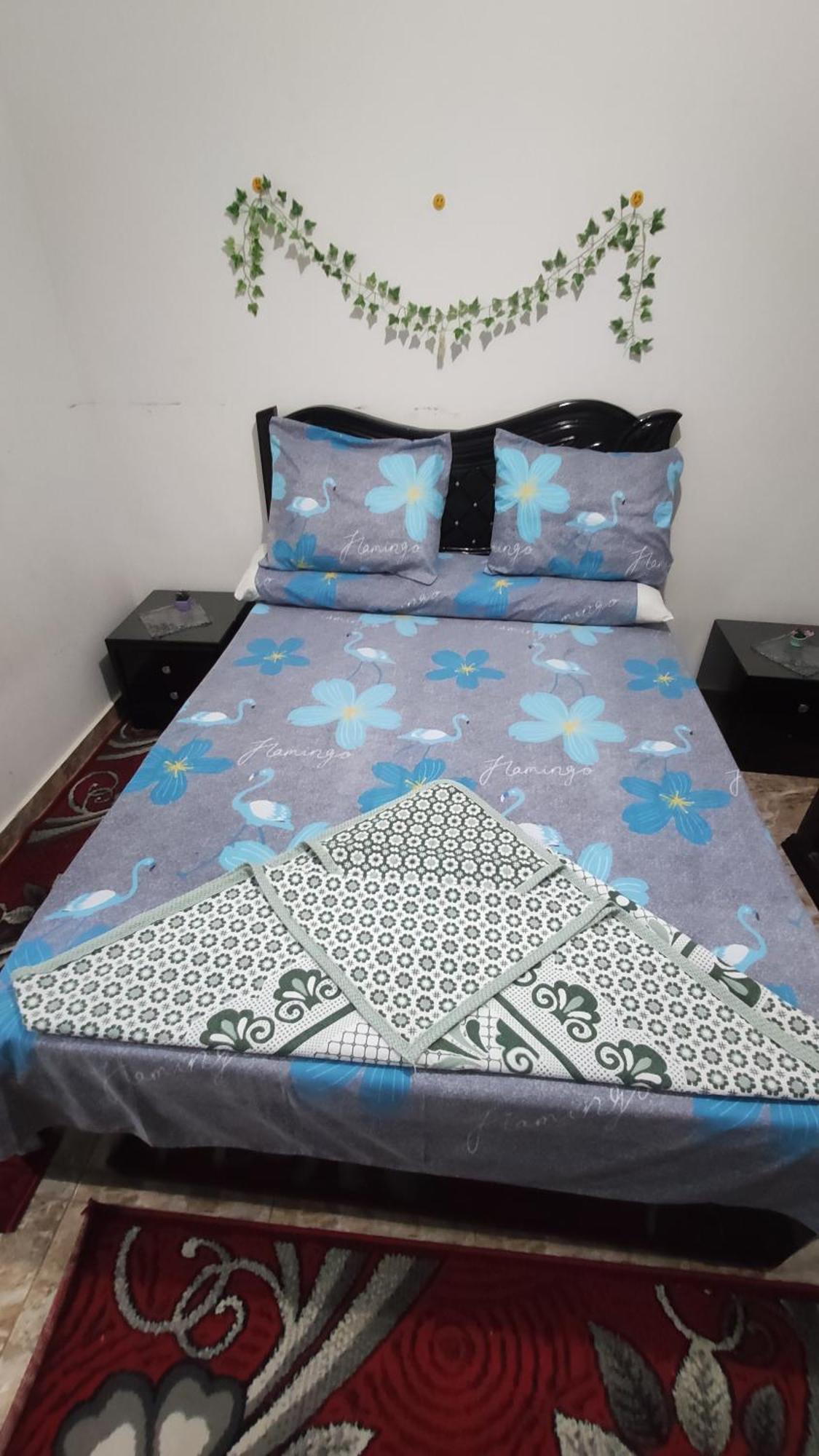 The Flowers Apartment Alexandria Exterior foto